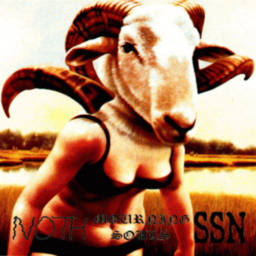 Noth : 3 Way Vegetarian Trans Static